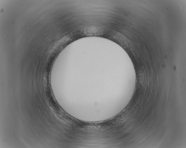 X0000068730690200605262026