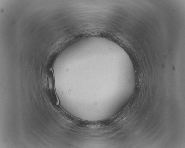 X0000068730693200605262026