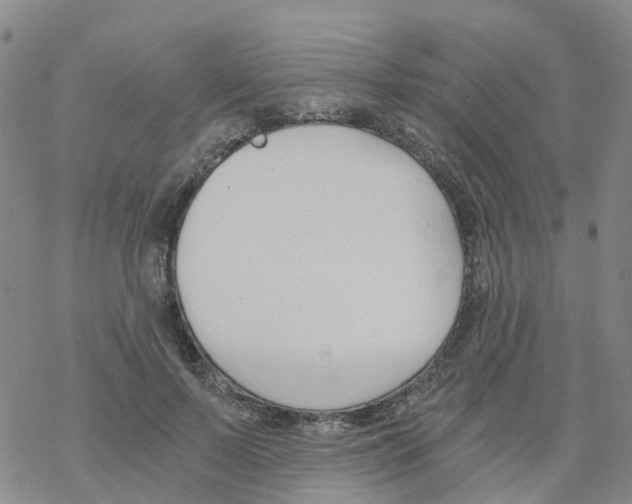 X0000068730695200605262026