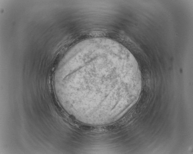 X0000068730696200605262026