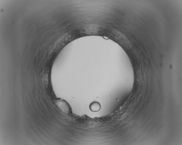 X0000068730697200605262026