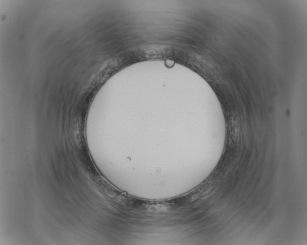 X0000068730698200605262026