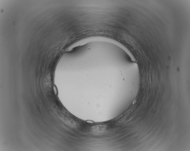 X0000068730700200605262026