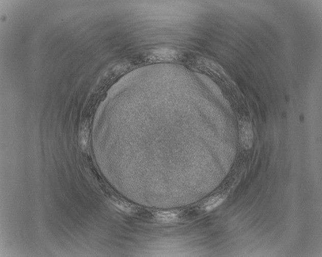 X0000068730701200605262026