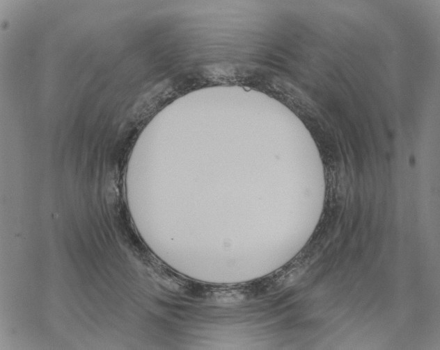 X0000068730702200605262026