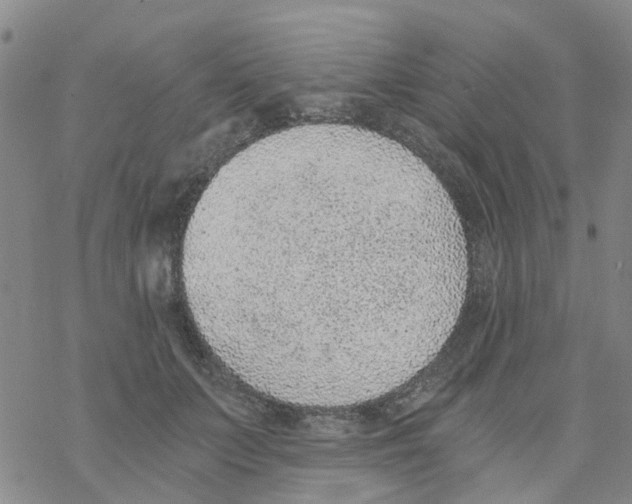 X0000068730703200605262026