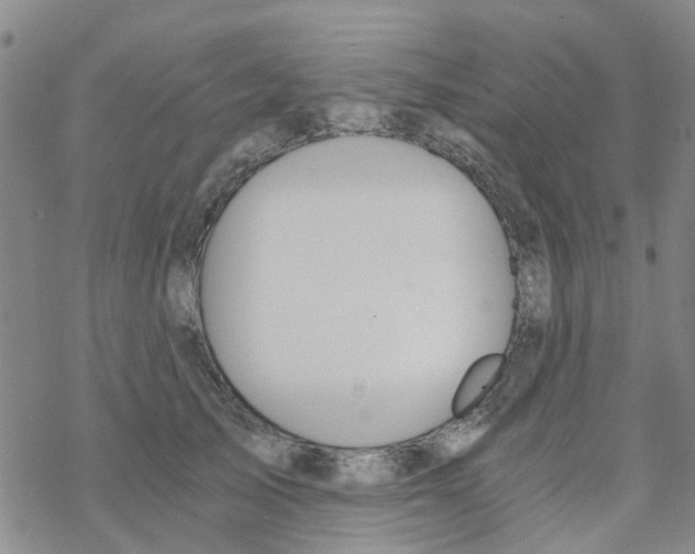 X0000068730705200605262026