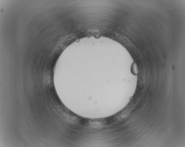 X0000068730706200605262026