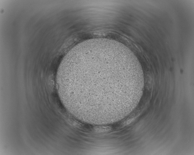 X0000068730707200605262026