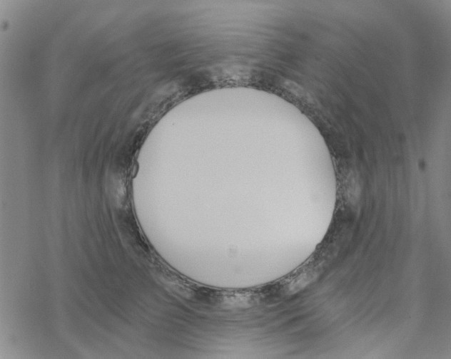 X0000068730709200605262026