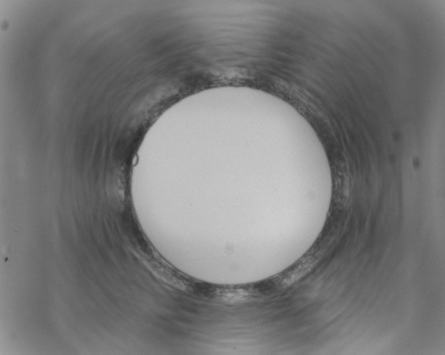 X0000068730710200605262026