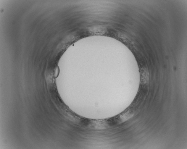 X0000068730713200605262026