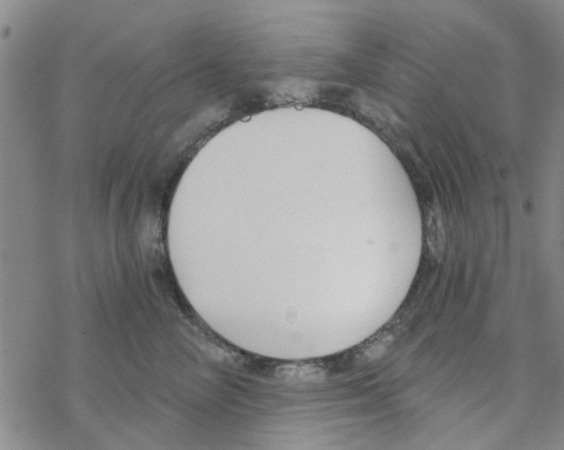 X0000068730714200605262026