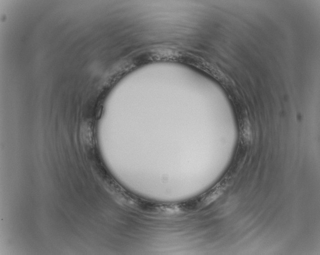 X0000068730715200605262026