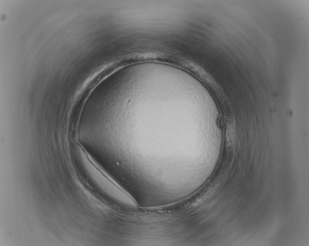 X0000068730722200605262025