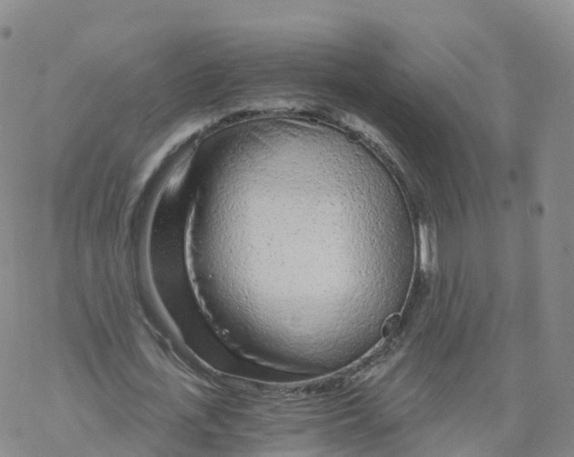 X0000068730723200605262025