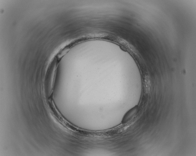 X0000068730726200605262025