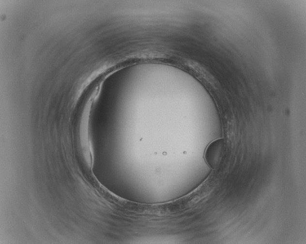 X0000068730727200605262025