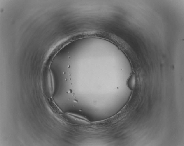 X0000068730728200605262025