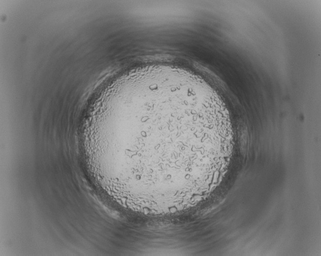 X0000068730729200605262025