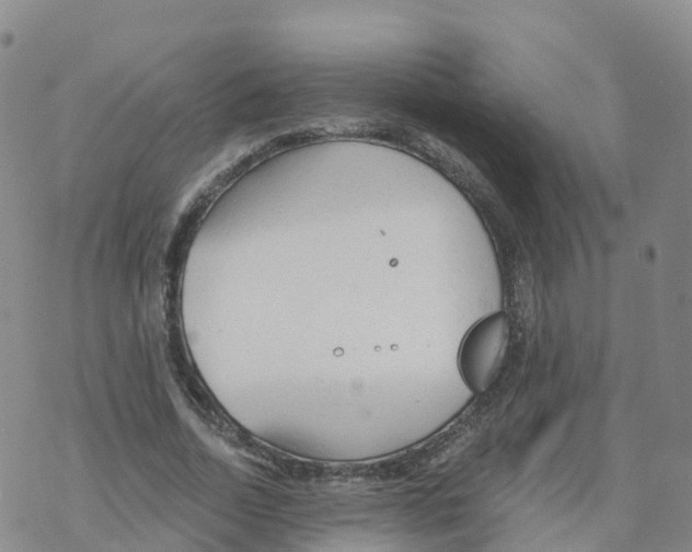 X0000068730730200605262025