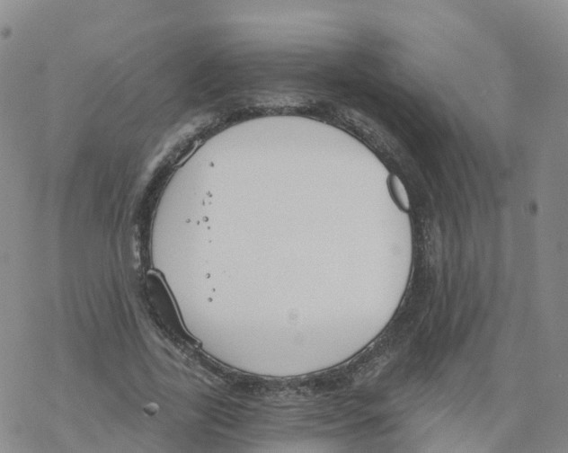 X0000068730731200605262025