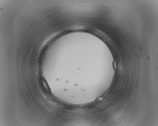 X0000068730732200605262025