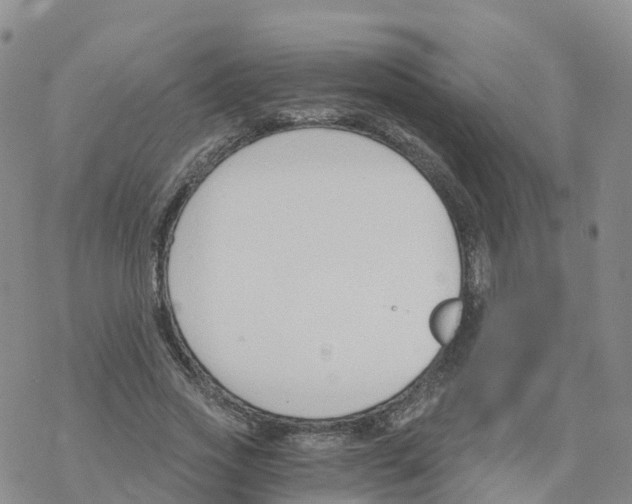 X0000068730733200605262025