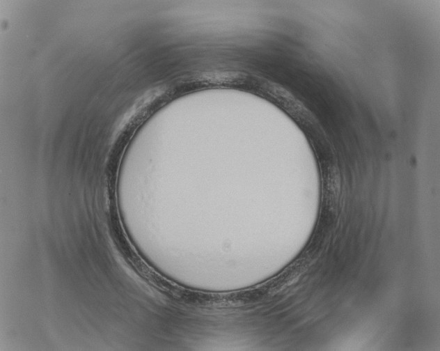 X0000068730734200605262025