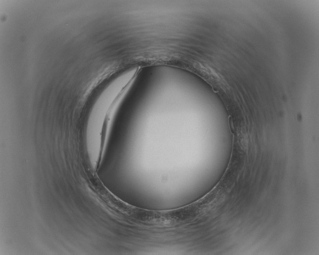 X0000068730735200605262025