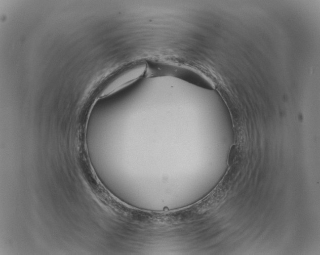 X0000068730736200605262025