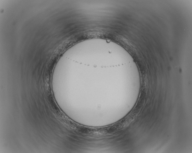 X0000068730737200605262025