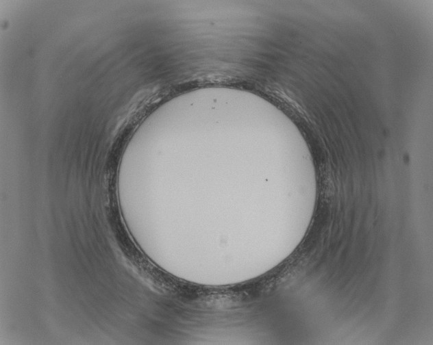 X0000068730738200605262025