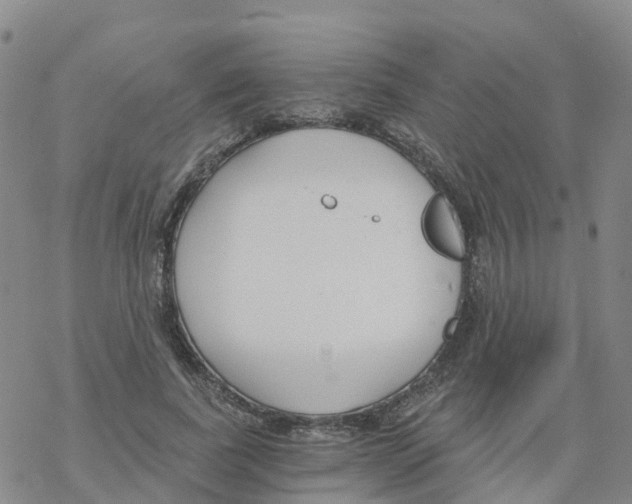 X0000068730739200605262025