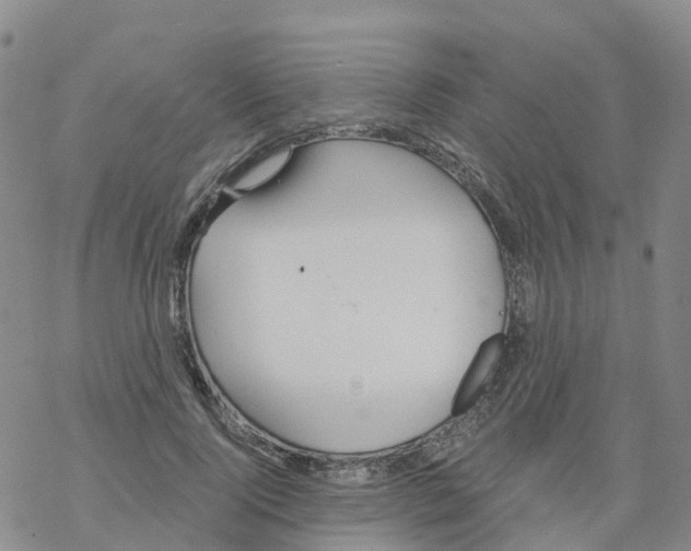 X0000068730740200605262025