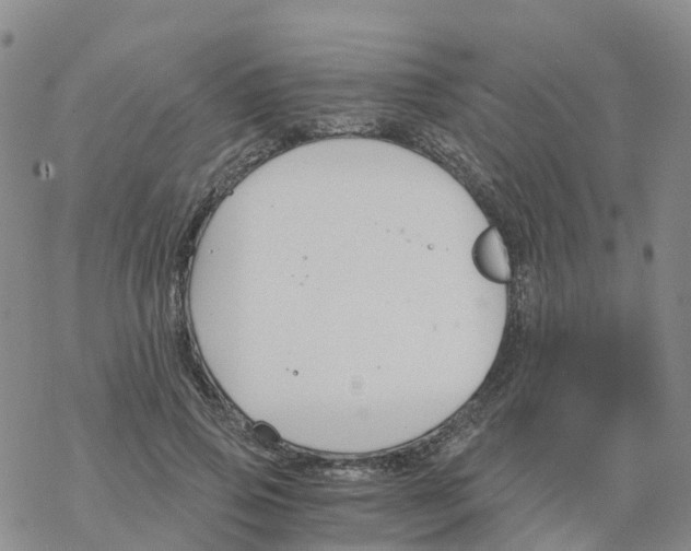 X0000068730741200605262025