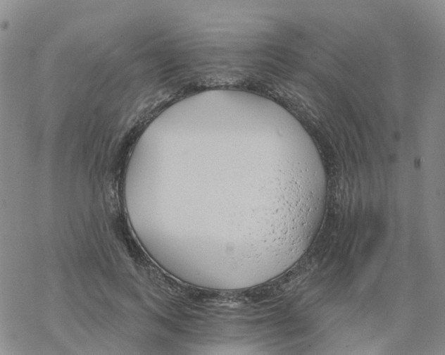 X0000068730743200605262025