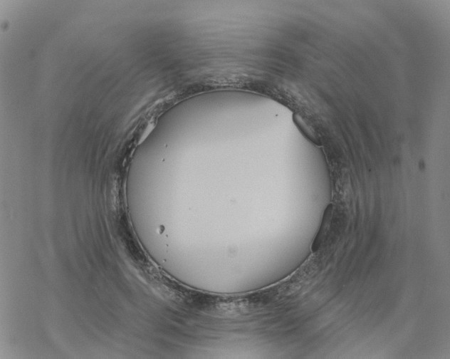 X0000068730744200605262025