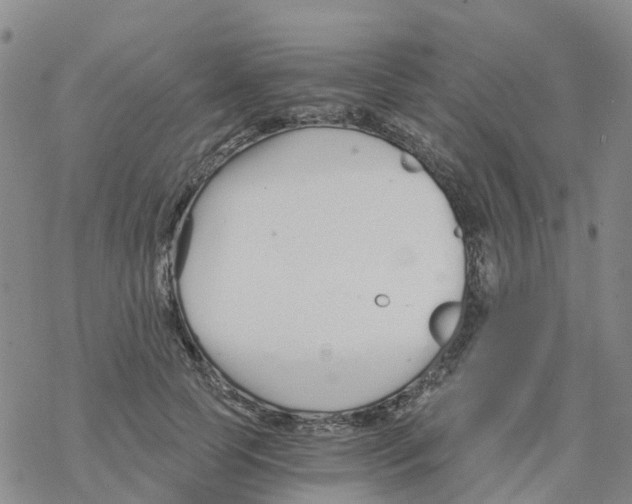 X0000068730745200605262025