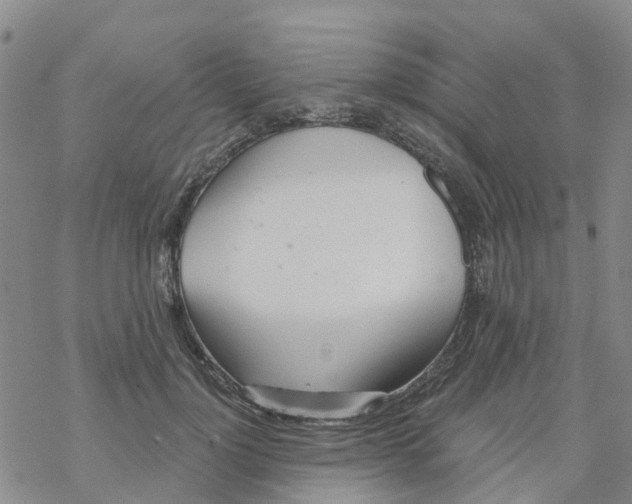 X0000068730748200605262025