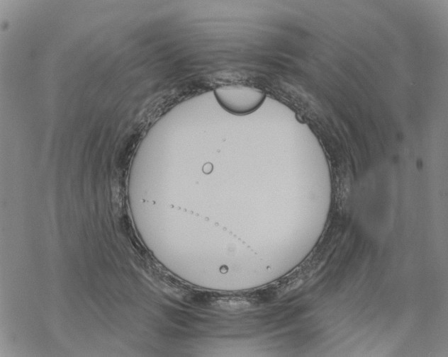 X0000068730749200605262025