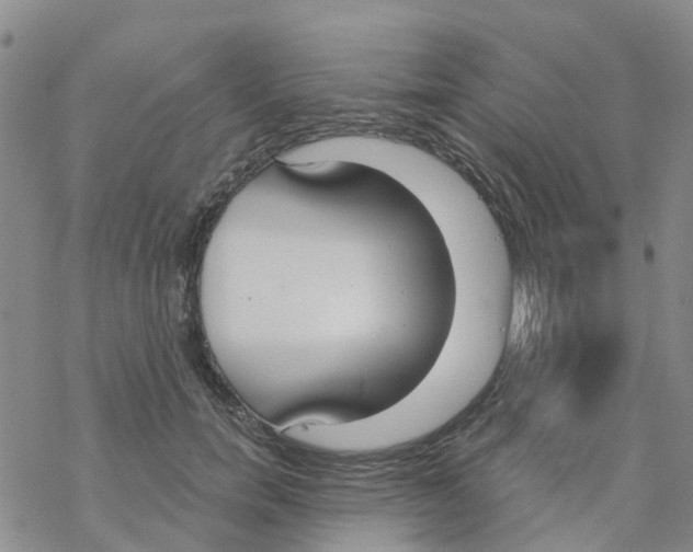 X0000068730750200605262025