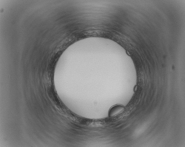 X0000068730751200605262025