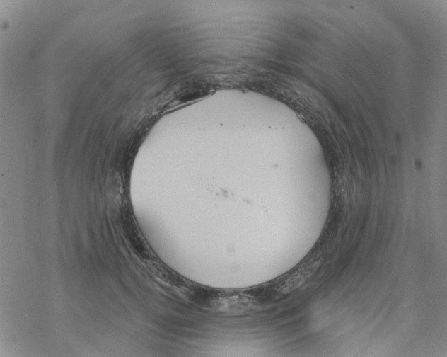 X0000068730752200605262025