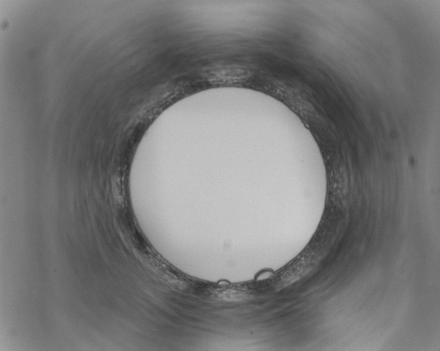 X0000068730755200605262025