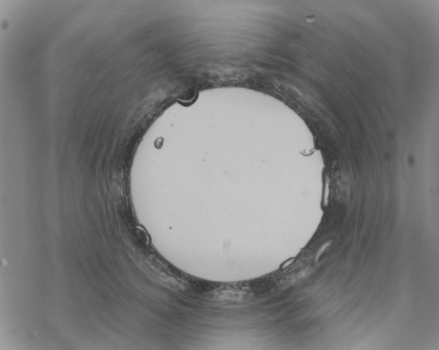 X0000068730756200605262025