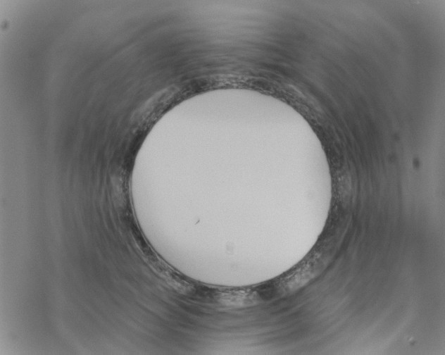 X0000068730757200605262025