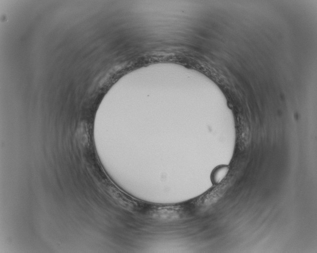 X0000068730758200605262025