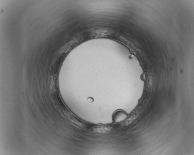 X0000068730759200605262025