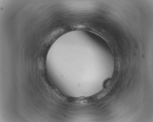 X0000068730760200605262025